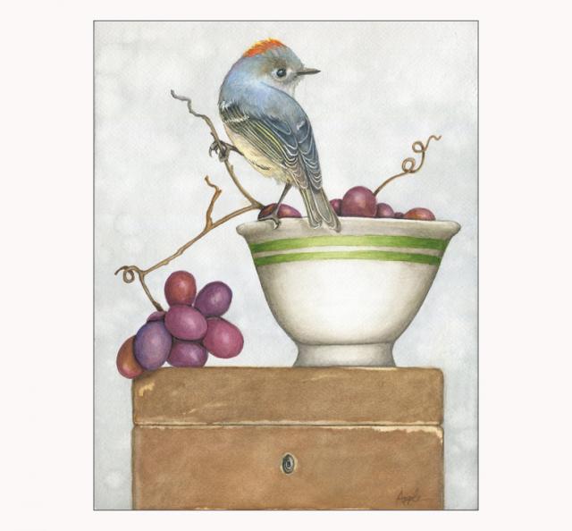 Ruby Crowned Kinglet bird watercolor